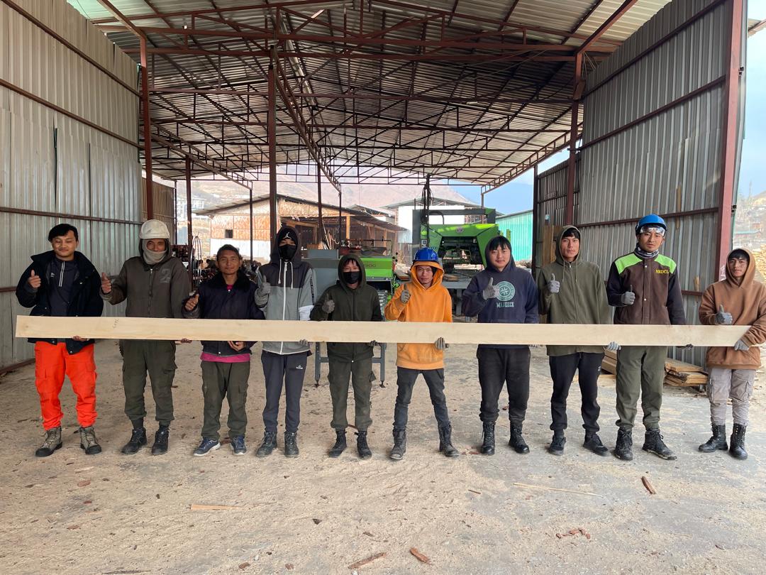 Collaboration to Strength Grade Native Timber Species